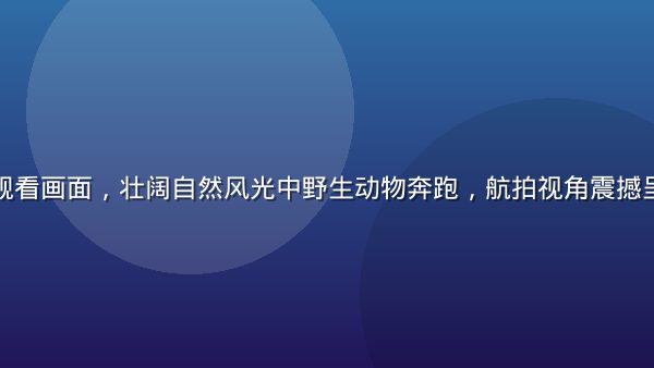 纪录片在线观看画面，壮阔自然风光中野生动物奔跑，航拍视角震撼呈现大地之美